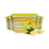 HANNSGUARD DEHUMIDIFIER LEMON 500ML BY 5S